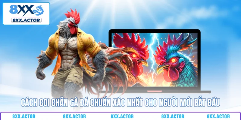 cách coi chân gà đá