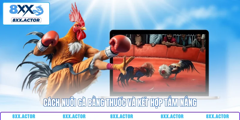 Cách nuôi gà bằng thuốc và kết hợp tắm nắng