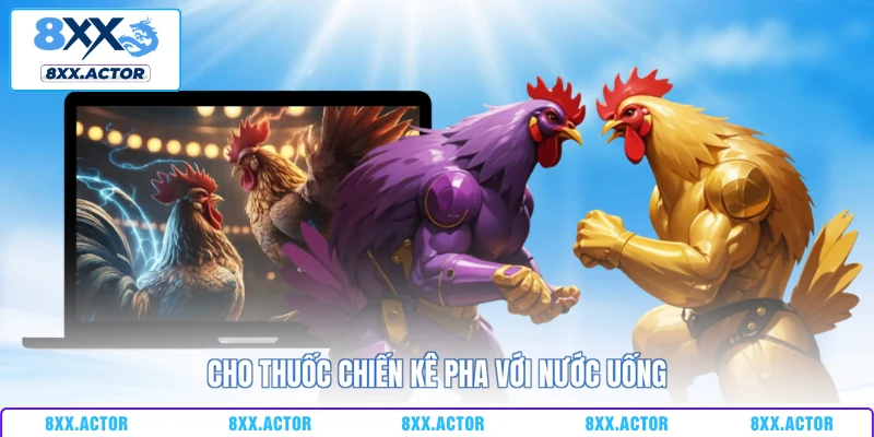 Cho thuốc chiến kê pha với nước uống