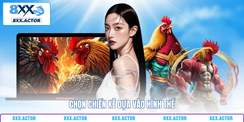 Chọn chiến kê dựa vào hình thể