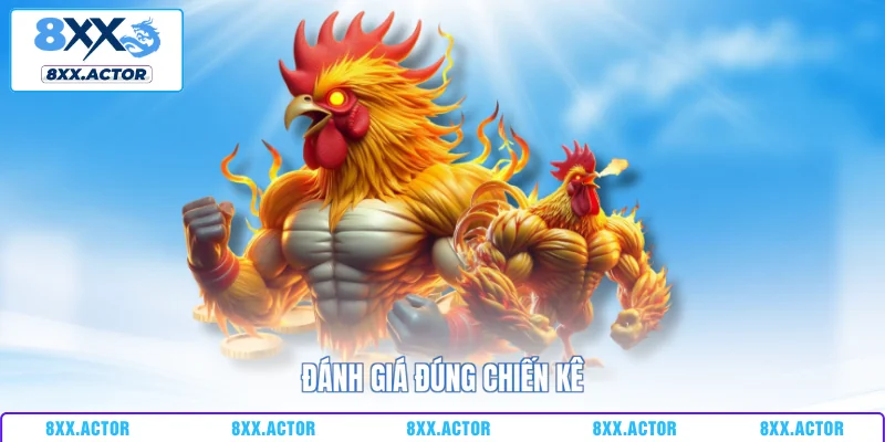 Đánh giá đúng chiến kê