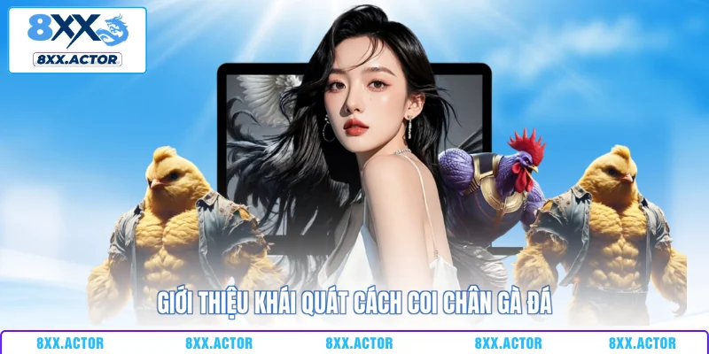 Giới thiệu khái quát cách coi chân gà đá