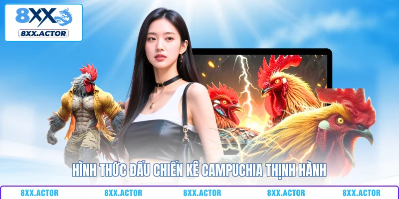 Hình thức đấu chiến kê Campuchia thịnh hành