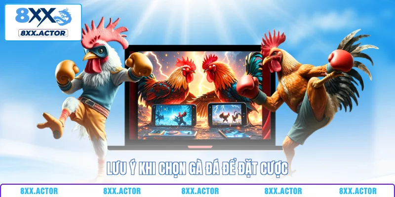 Lưu ý khi chọn gà đá để đặt cược