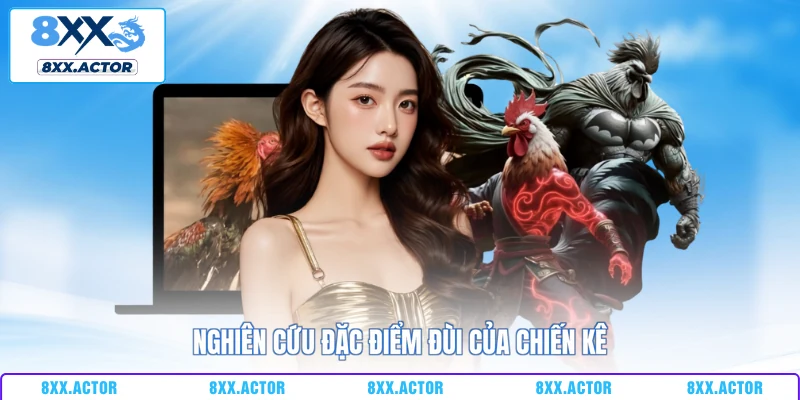 Nghiên cứu đặc điểm đùi của chiến kê