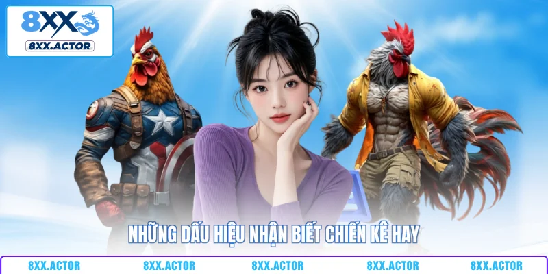 Những dấu hiệu nhận biết chiến kê hay