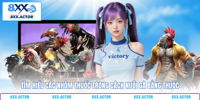 Tìm hiểu các nhóm thuốc trong cách nuôi gà bằng thuốc
