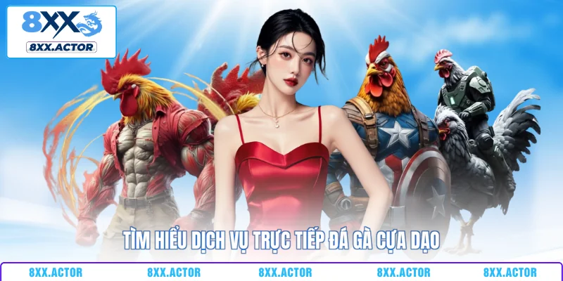 Tìm hiểu dịch vụ trực tiếp đá gà cựa dạo